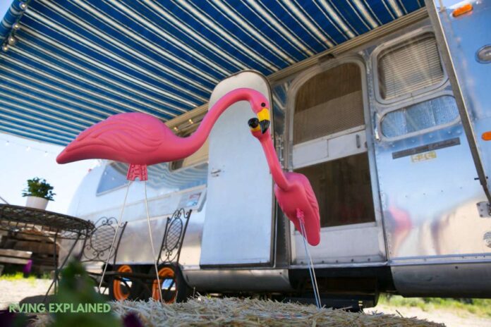 pink flamingos in rv parks